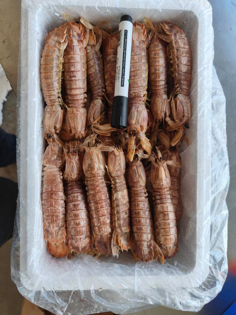 熟冻皮皮虾