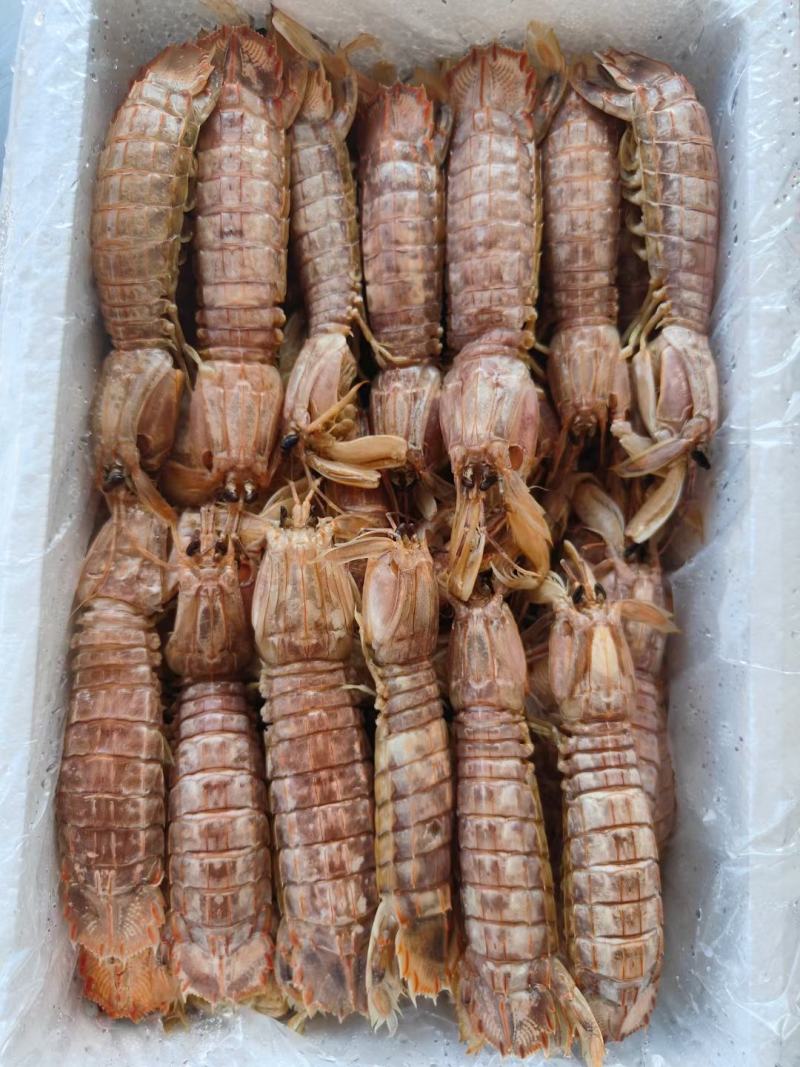 熟冻皮皮虾