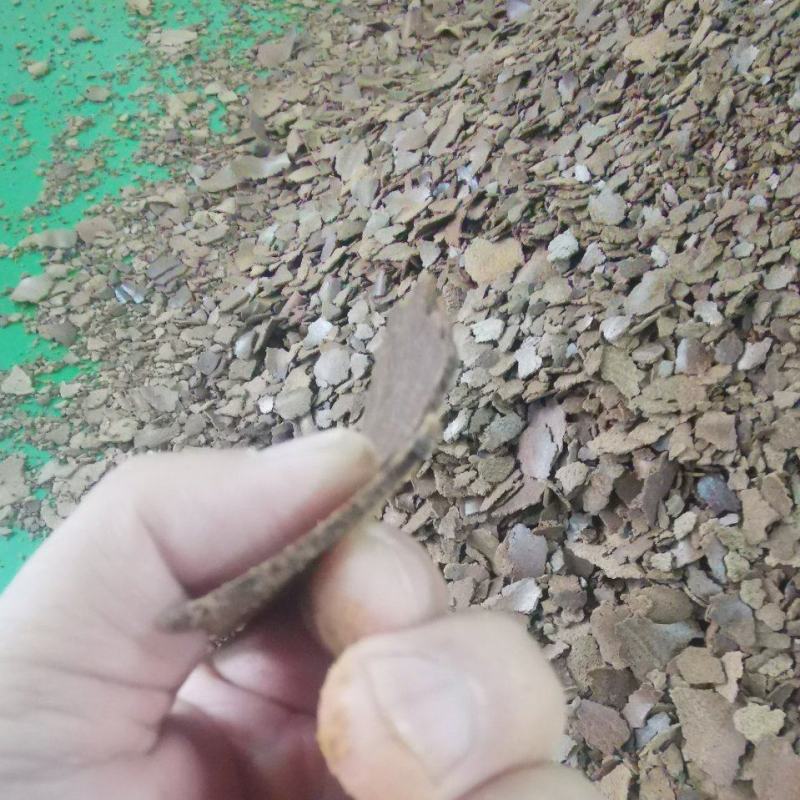 山茶枯，