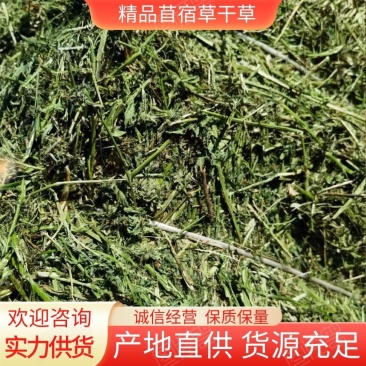 苜蓿草干草方捆/青储/青贮量大价优保质保量销往全国