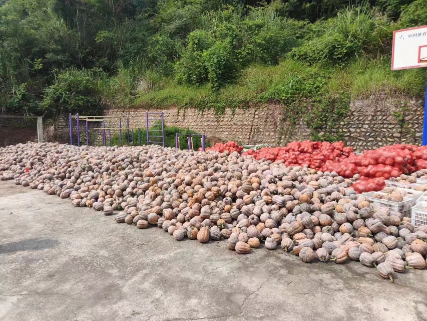 蒸好的花生南瓜成品图