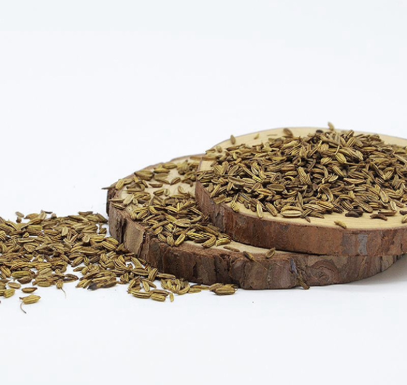 炒小茴香振兴药材批发供应小茴香产地直供价