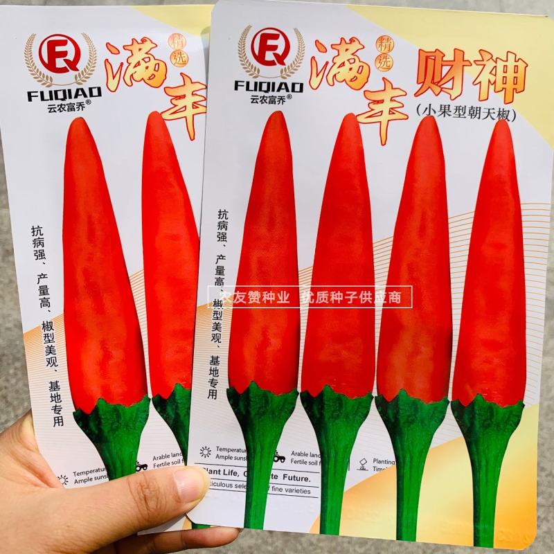 满丰财神朝天椒种子香辣小果型朝天辣椒种子可作干椒抗病高产
