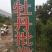 牡丹盆栽室内外庭院绿植正宗观赏重瓣牡丹花卉基地苗包邮价格