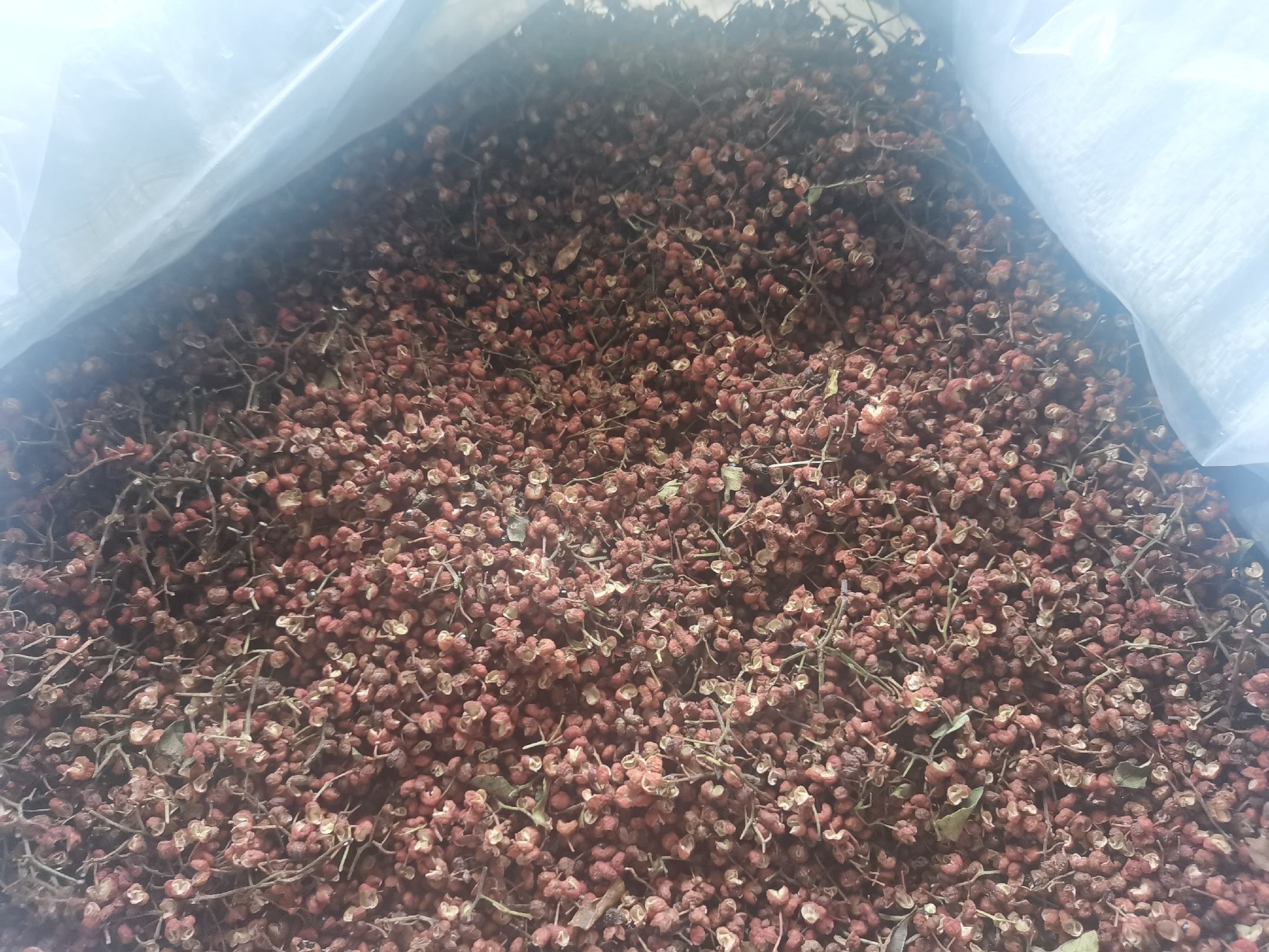 黑胡椒提取物在不同行业的应用场景