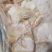 国产精品牛肚