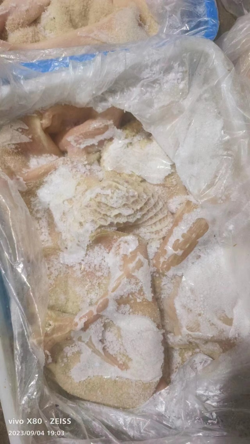 国产精品牛肚