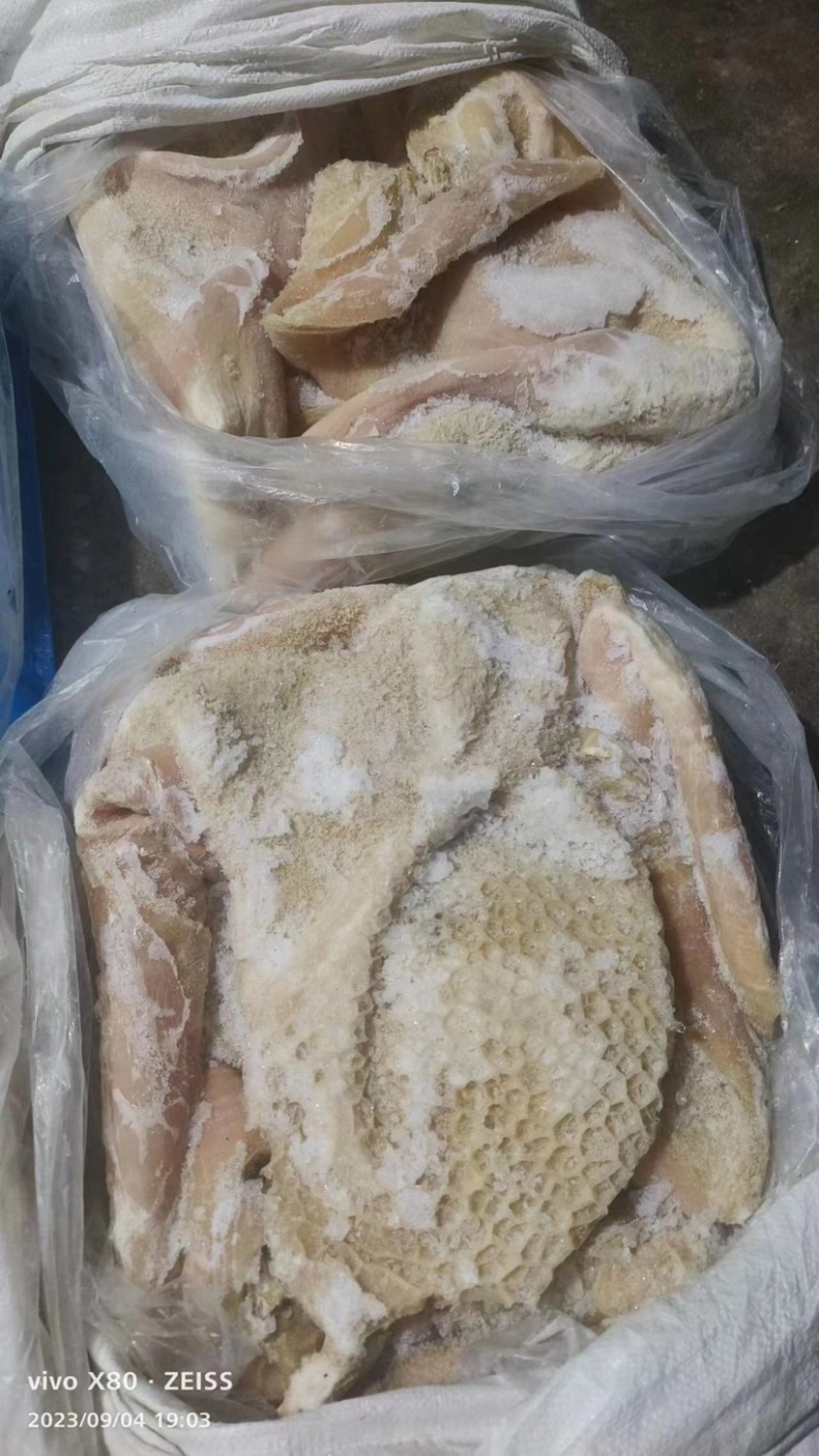 国产精品牛肚