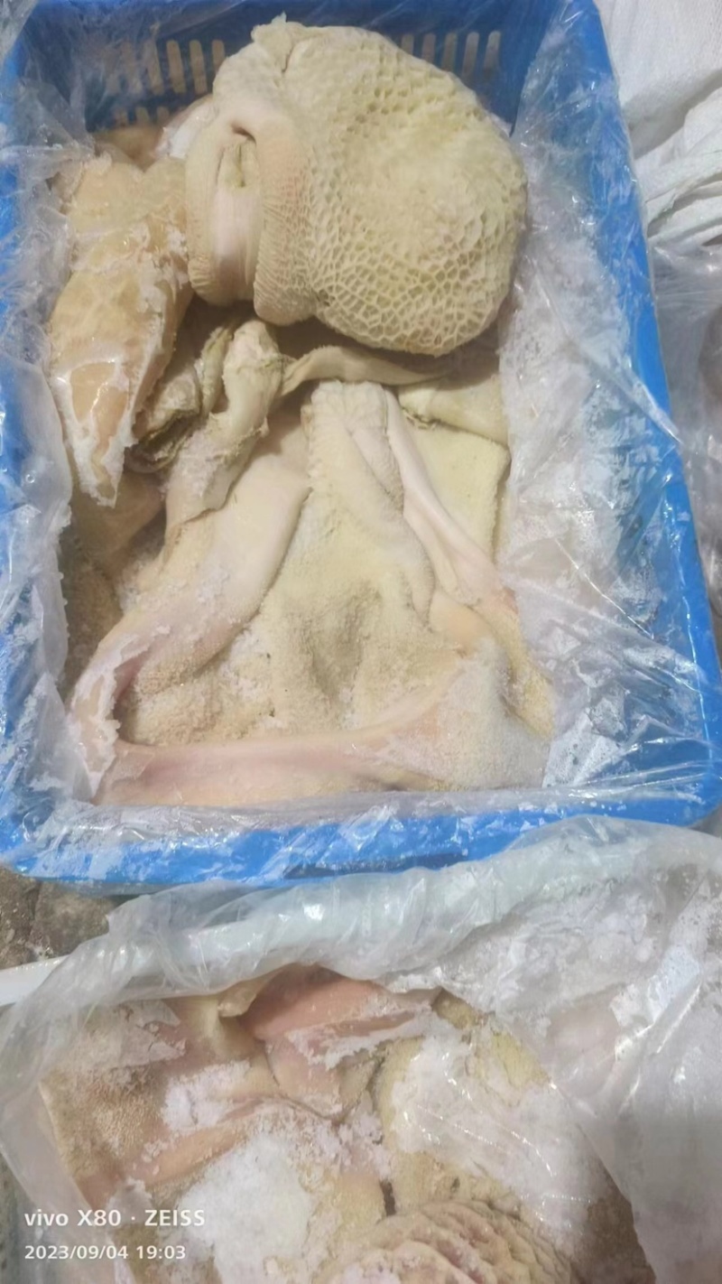 国产精品牛肚