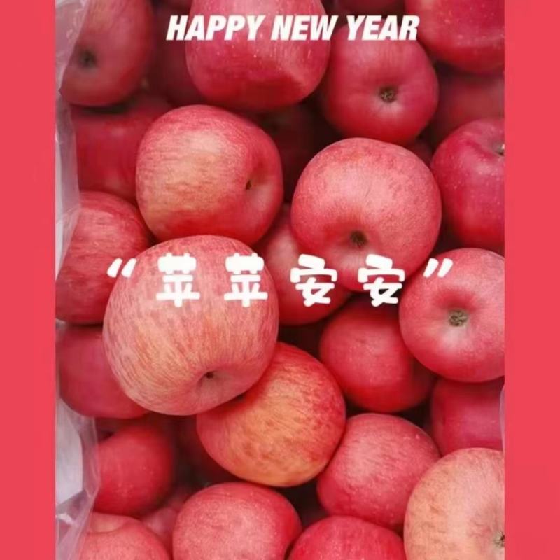 实力供货，陕西白水条红富士，量大从优，一条龙服务专业代办