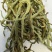 干豆角新货东北架豆王豆角干货干辣条农家自制豆角干特产整箱