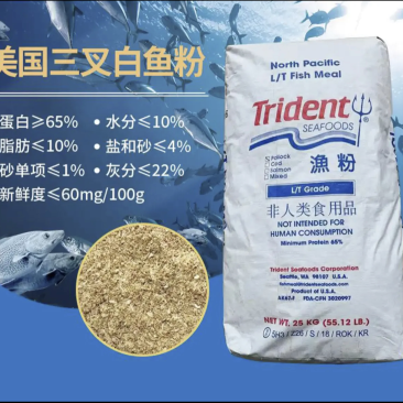 美国进口白鱼粉适用于:鳗鱼龟鳖桂花鱼观赏鱼母猪等做饲料