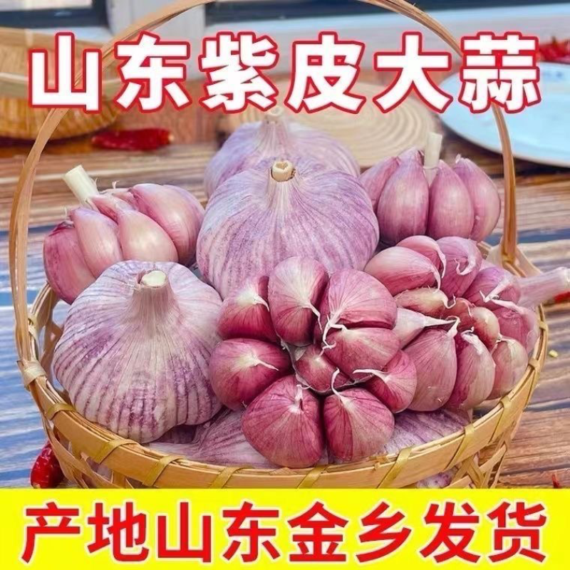 【牛商实力推荐】金乡紫皮蒜档口直营产地直发诚信