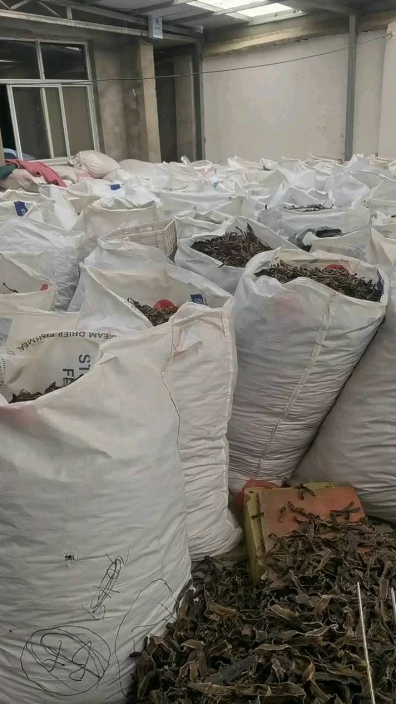 金荞麦选关书药业批发各种规格中药材