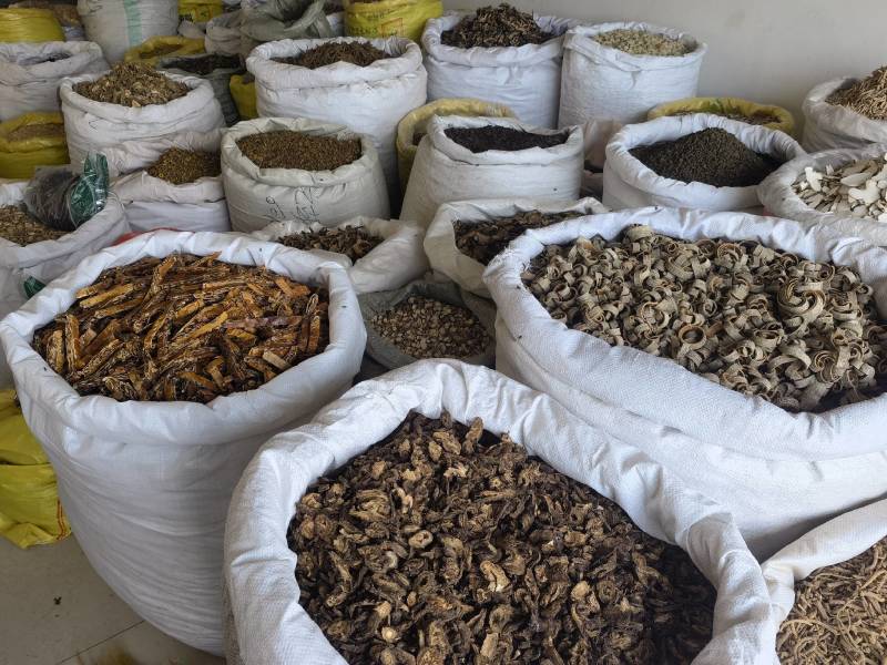 金荞麦选关书药业批发各种规格中药材
