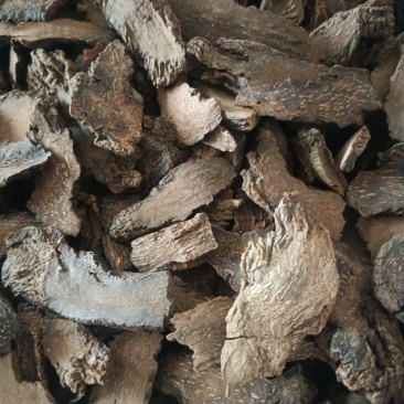 锁阳，选，无硫，产地一手货源，规格齐全，实拍现货