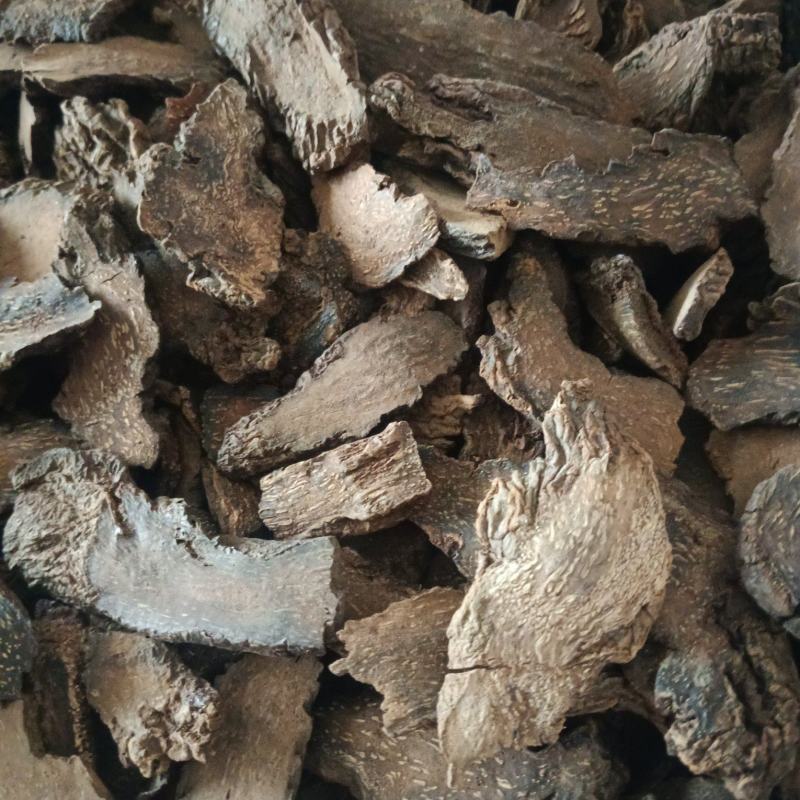 锁阳，选，无硫，产地一手货源，规格齐全，实拍现货