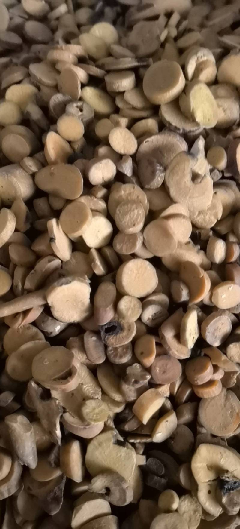 白芍麸白芍无糖无硫中片地道药材关书药业