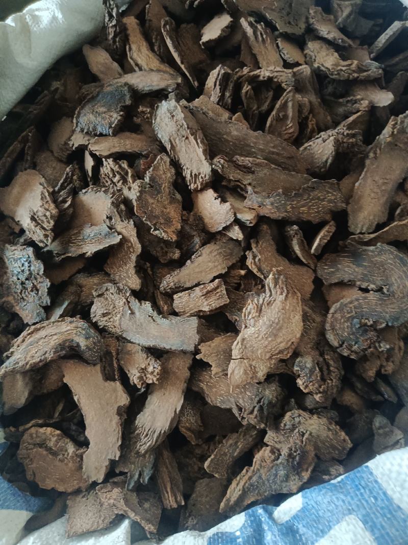 锁阳，选，无硫，产地一手货源，规格齐全，实拍现货