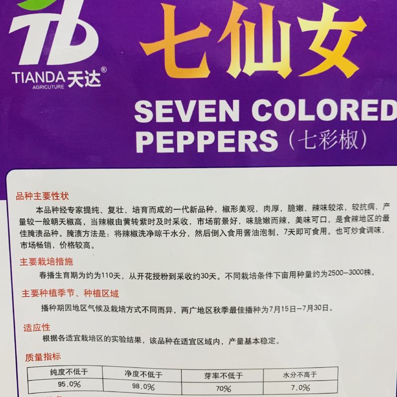 七仙女七彩椒种子泡椒种子肉厚脆嫩味辣基地专用彩色辣椒种子
