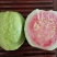 红心番石榴