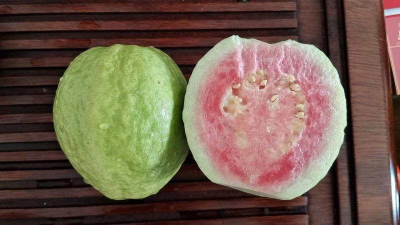 红心番石榴