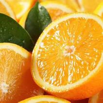 《精品橙子《》重庆开州橙子，口感好，产地一手货源