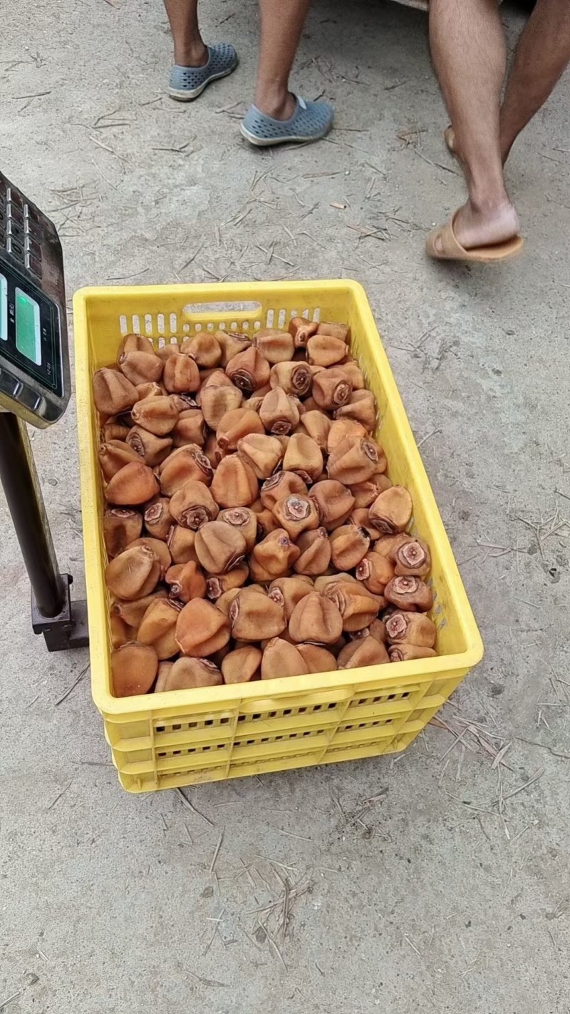 产地直销精品吊饼