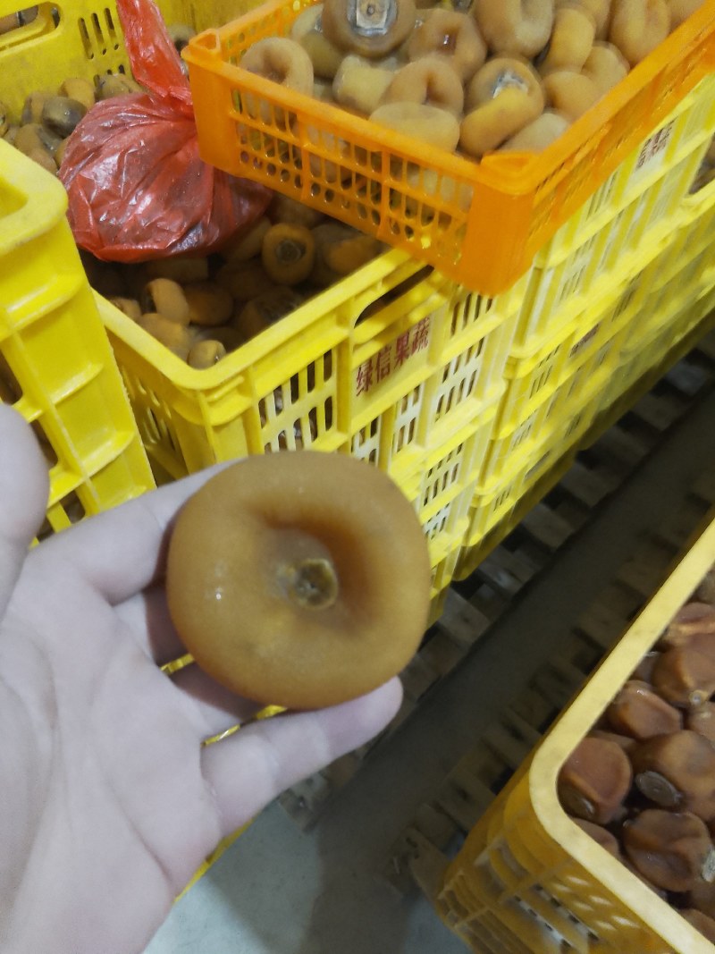 精品园饼