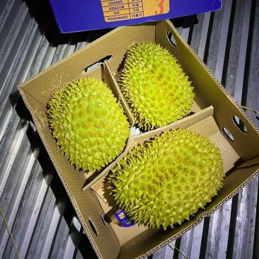 榴莲一手货源，各类品水果，欢迎衔接各大商超，自媒体