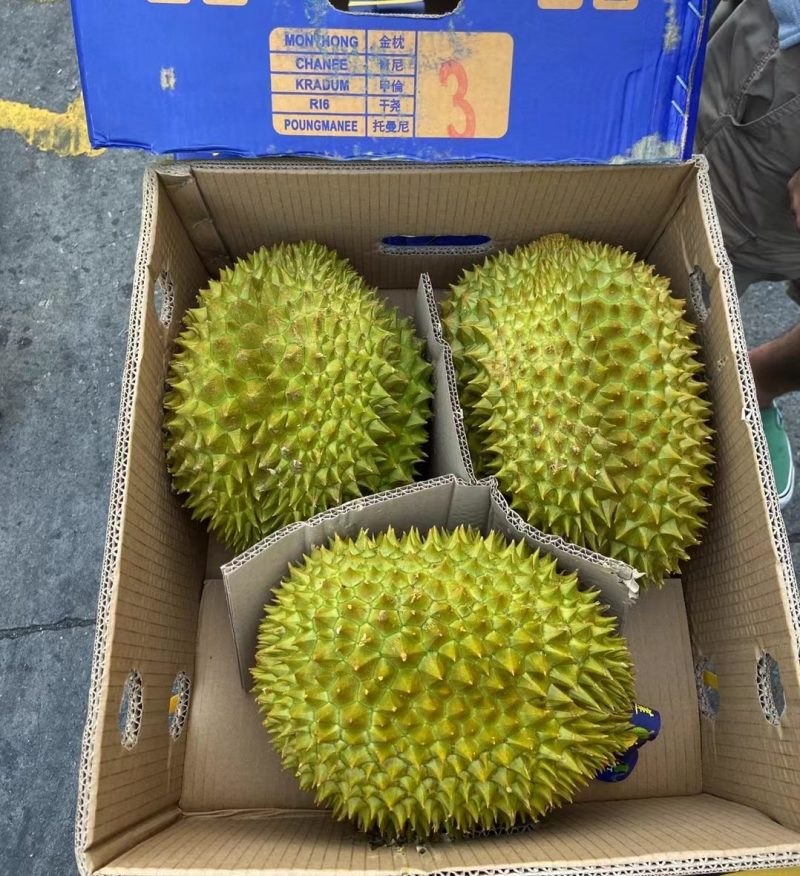 榴莲一手货源，各类品水果，欢迎衔接各大商超，自媒体