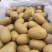 黄心猕猴桃河南产地源头现货一手货源保质保量货源充足