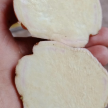 农夫嘉源生态红薯哈蜜