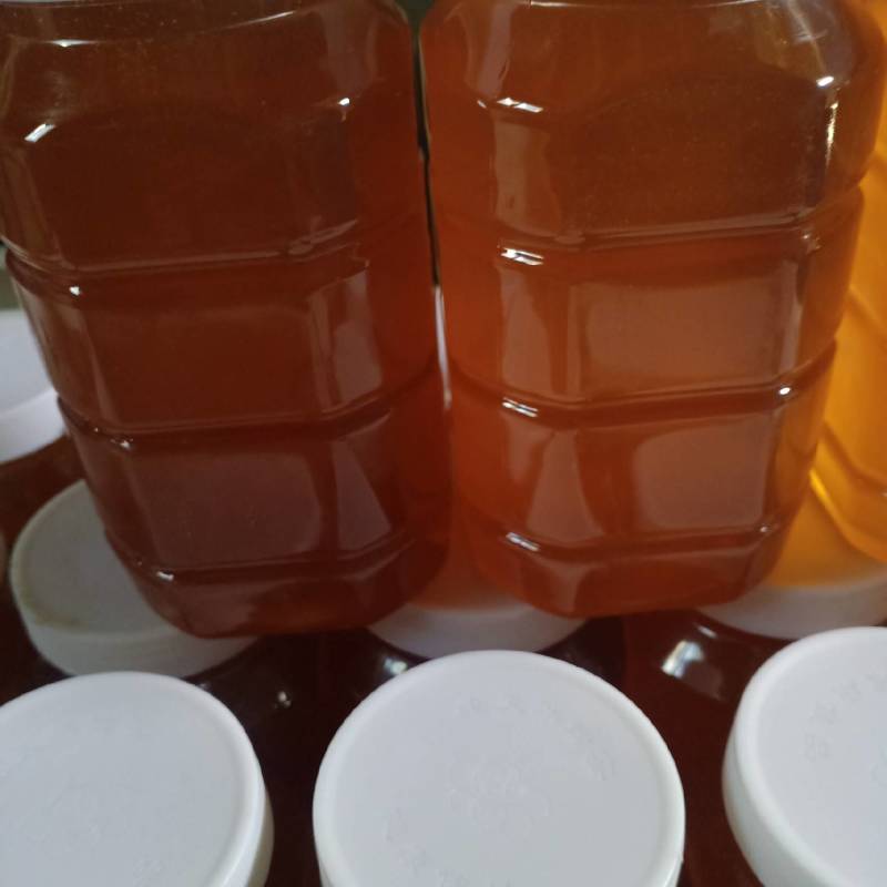 优选]新疆巴音蜂蜜枣花蜜纯蜂蜜原产地一手货源