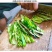青干辣椒丝陕西特辣线椒辣椒皮辣椒段炒菜专用干货批发