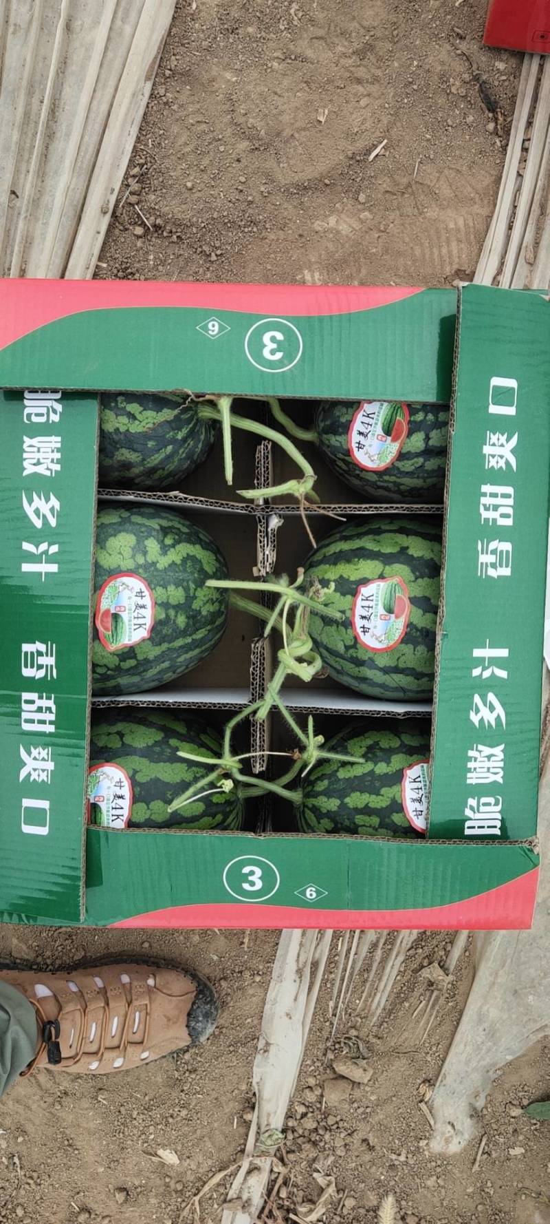 甘美4k西瓜，糖度高，质量好，皮色亮，耐运输