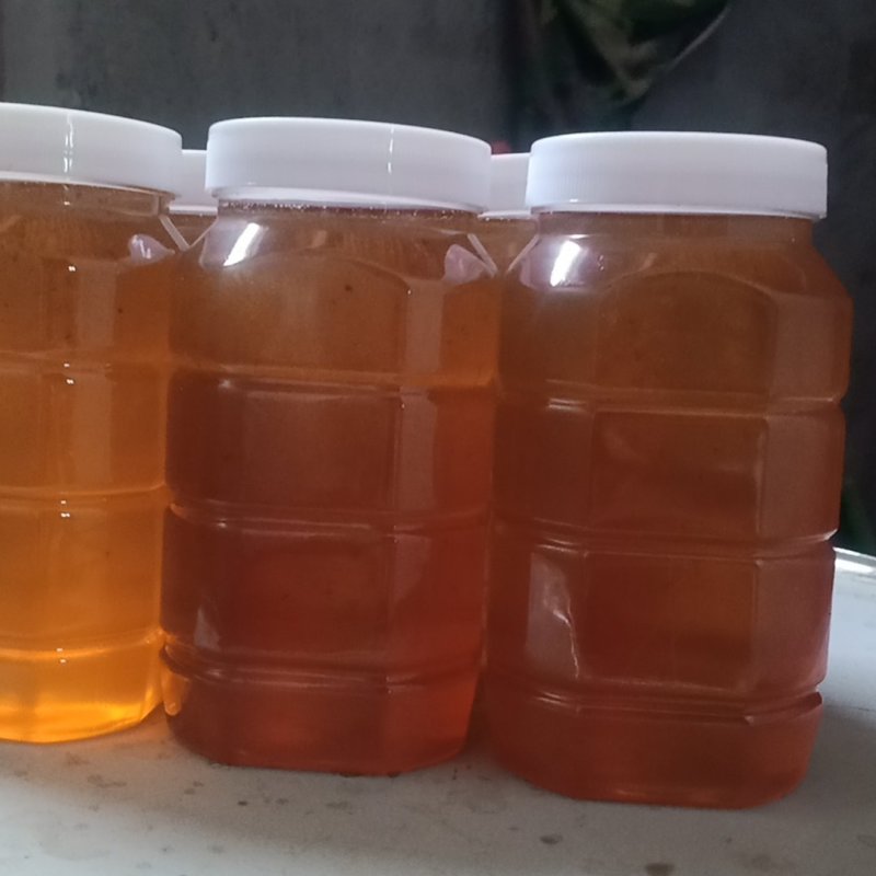 优选]新疆巴音蜂蜜枣花蜜纯蜂蜜原产地一手货源