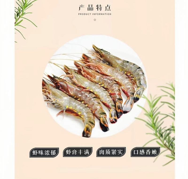 泰国黑虎虾