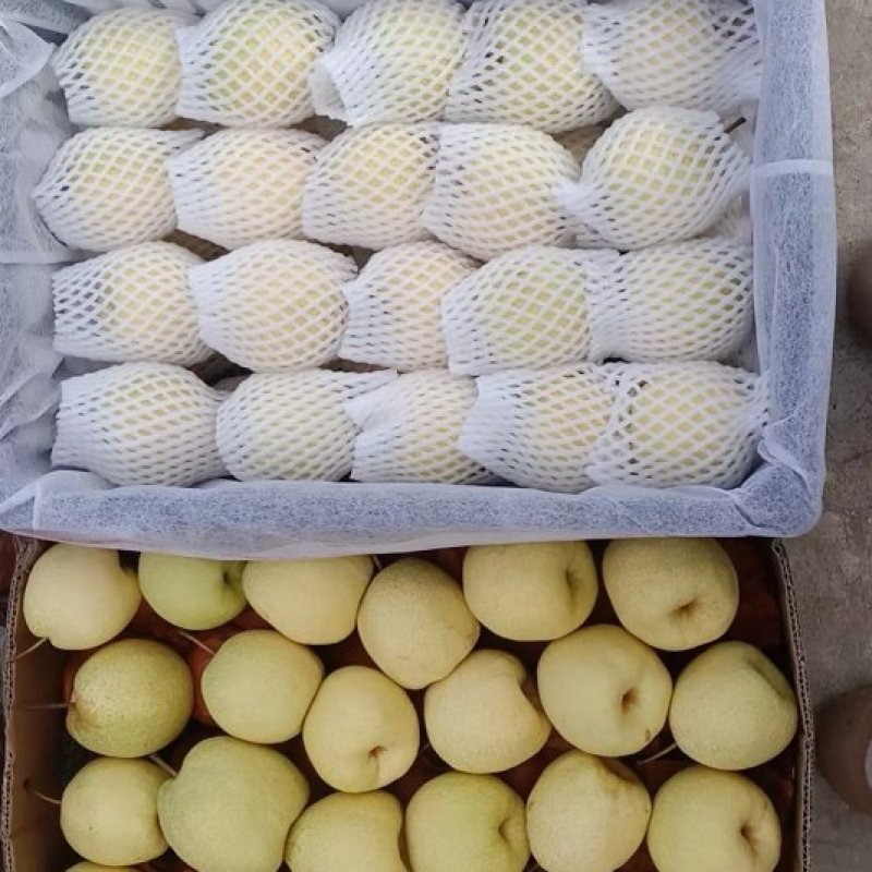 精品酥梨精挑细选脱纸套网套装黑胶筐