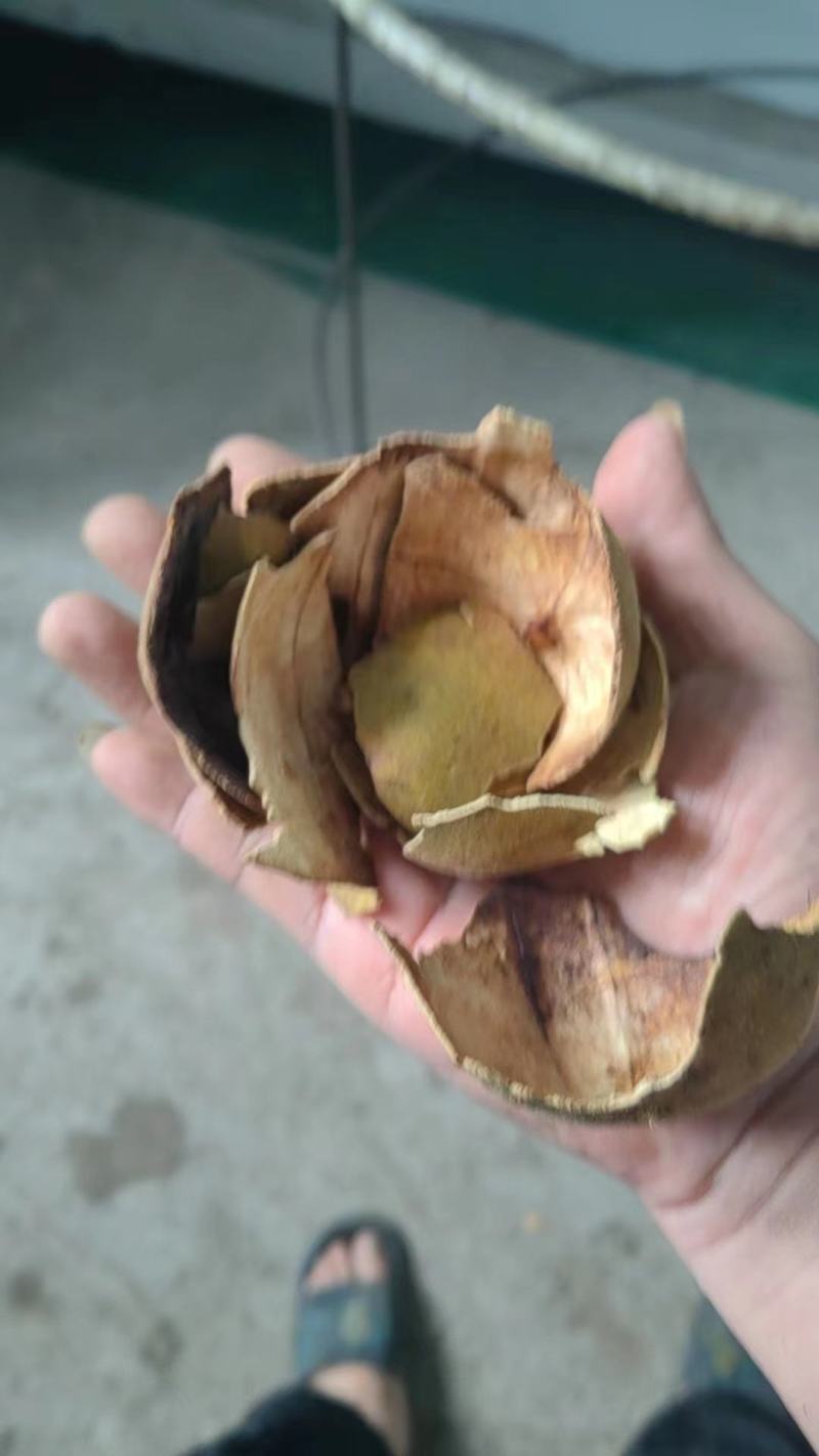 工厂直供，罗汉果，破果，烂果、泡茶、做调料、果皮、提取果