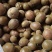 工厂直供，罗汉果，破果，烂果、泡茶、做调料、果皮、提取果