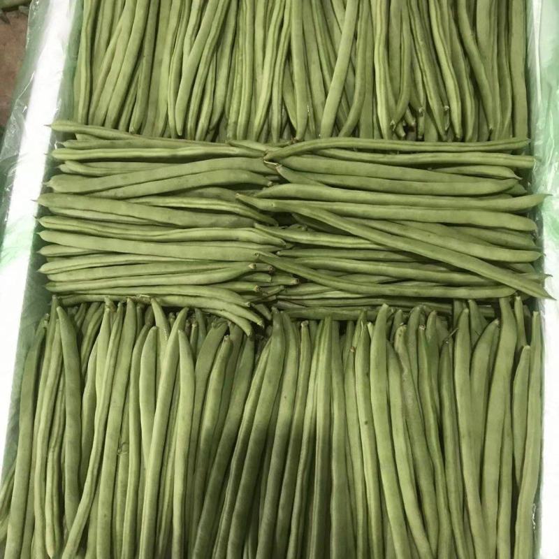 云南小金扁豆，无筋豆大量上市，全国代收代发，诚信为本质量保证