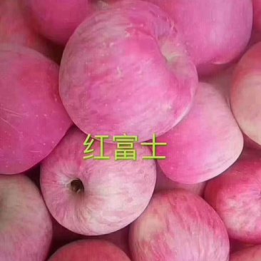 花牛，红富士，苹果