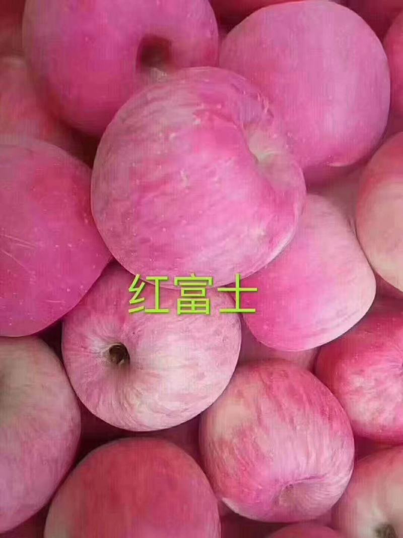 花牛，红富士，苹果