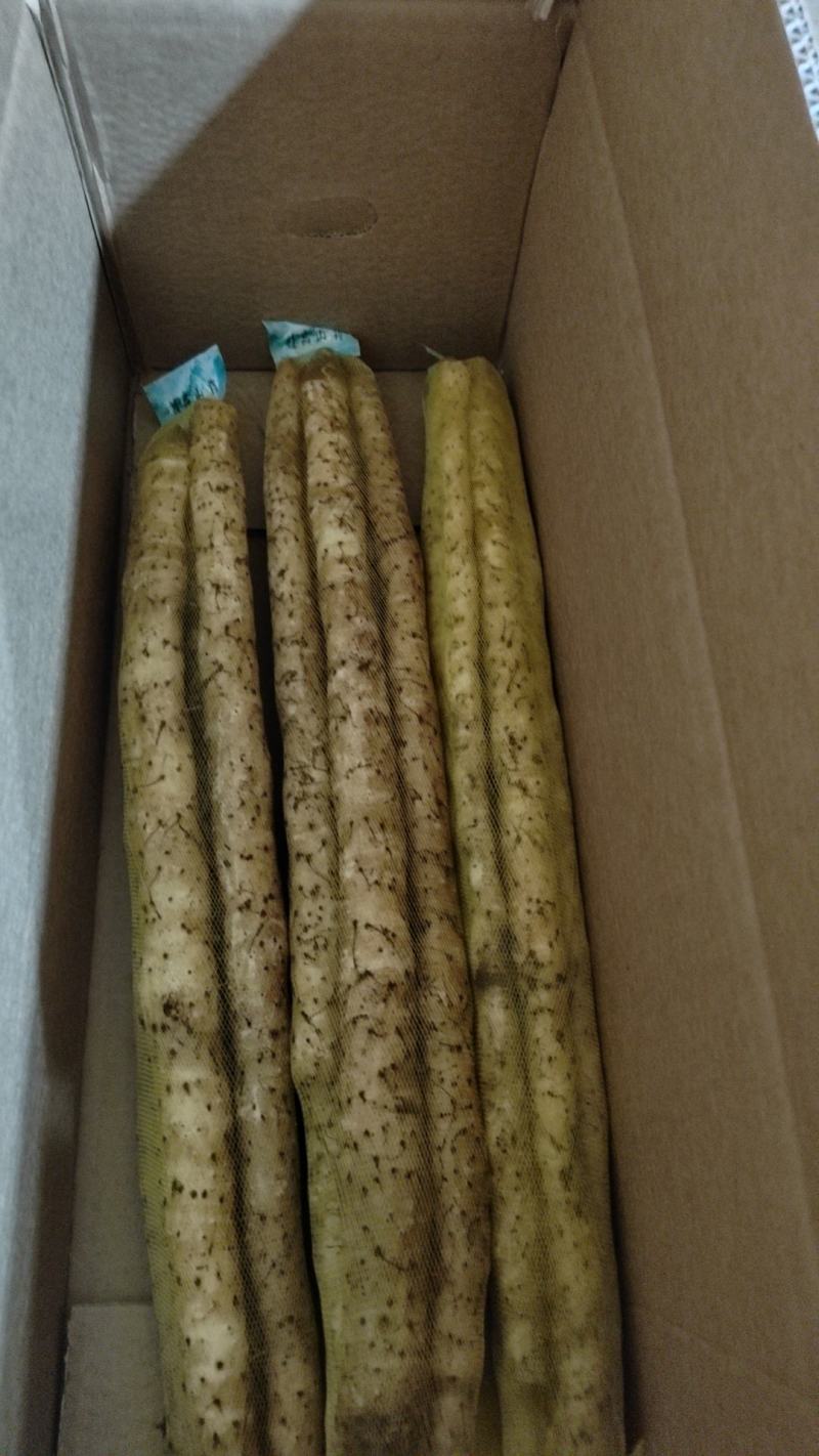 【实力推荐】小白嘴精品3斤装，产地直发一手货源