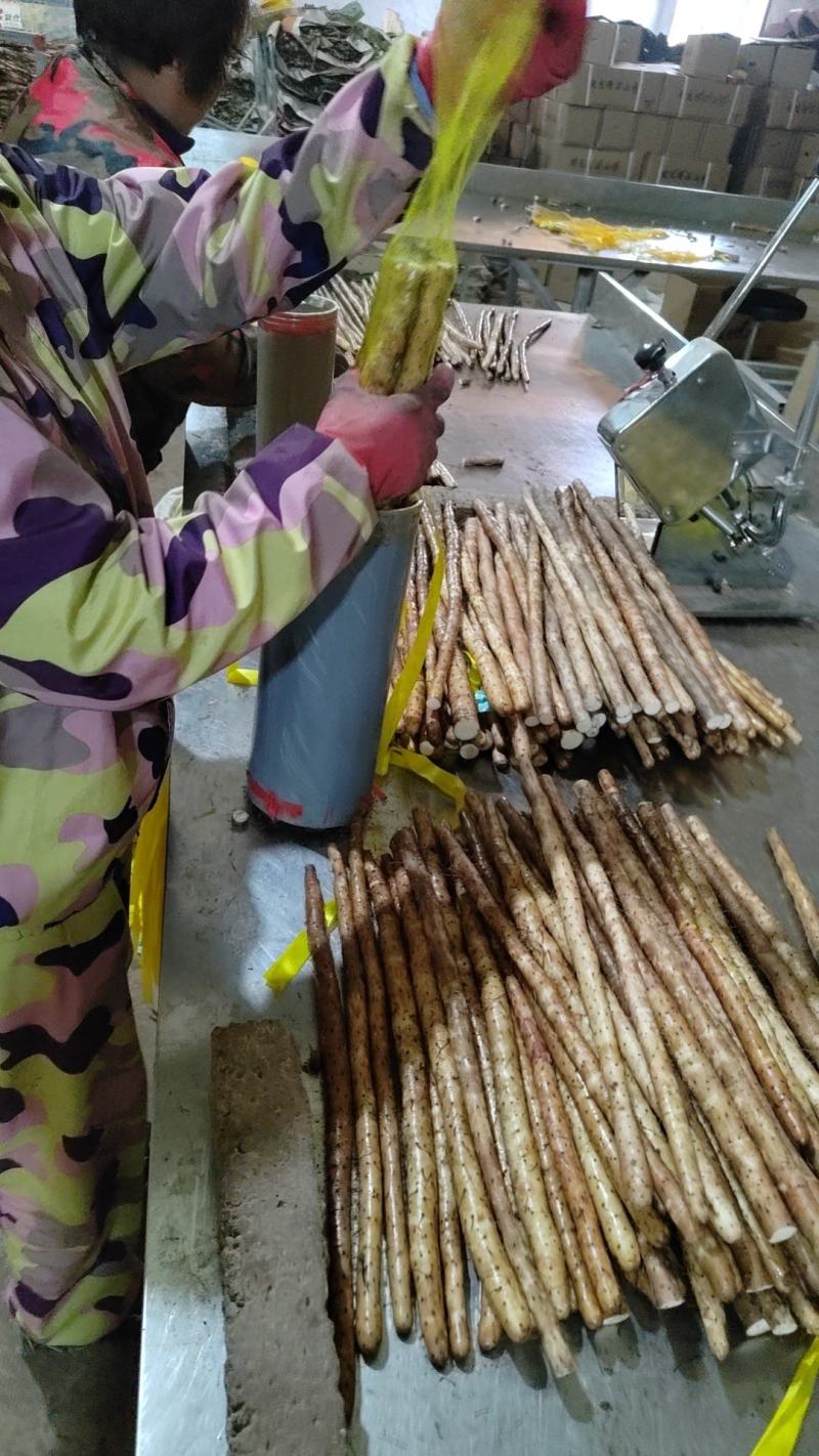 【实力推荐】小白嘴精品3斤装，产地直发一手货源