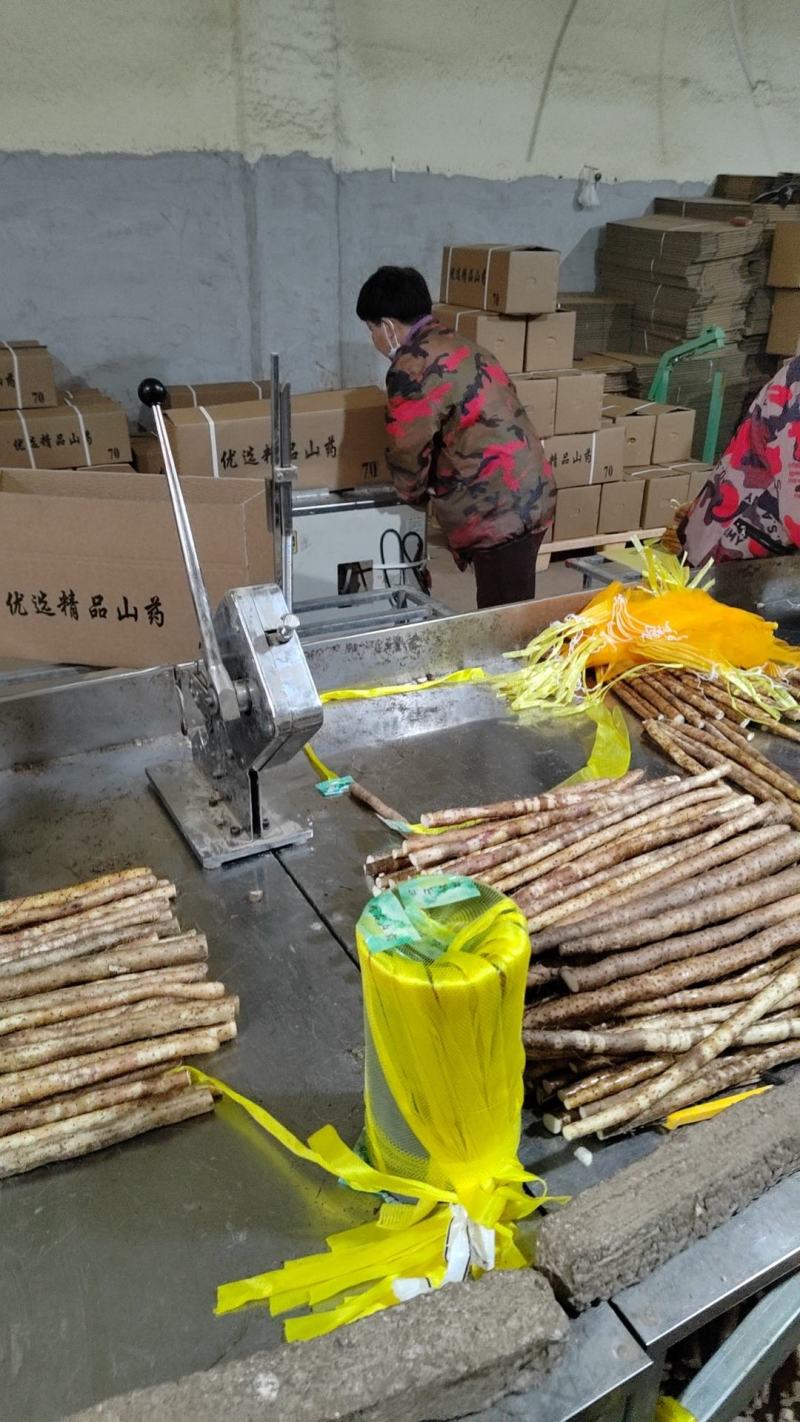 【实力推荐】小白嘴精品3斤装，产地直发一手货源