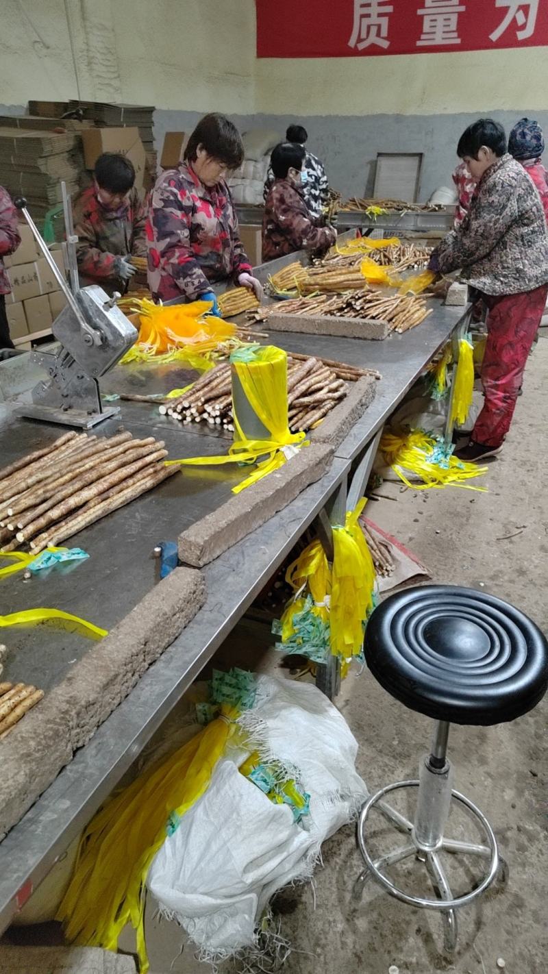 【实力推荐】小白嘴精品3斤装，产地直发一手货源