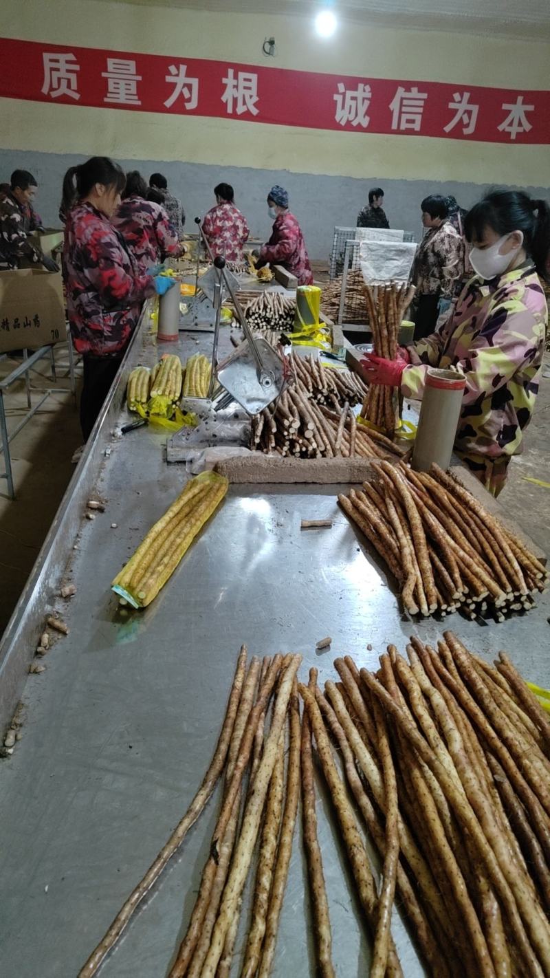 【实力推荐】小白嘴精品3斤装，产地直发一手货源