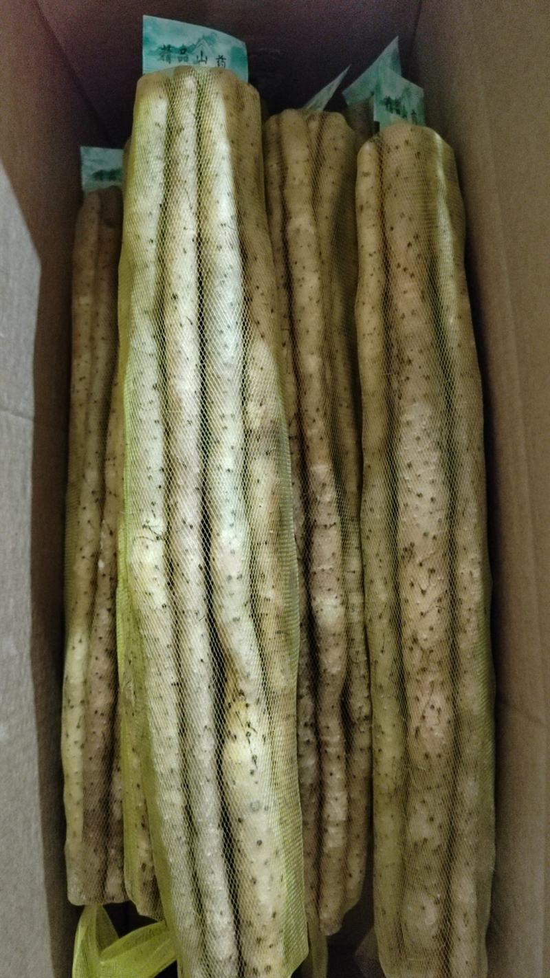 【实力推荐】小白嘴精品3斤装，产地直发一手货源
